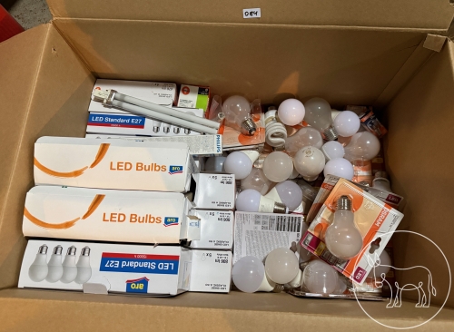 Bild 084 - riesiges Leuchtmittel Konvolut